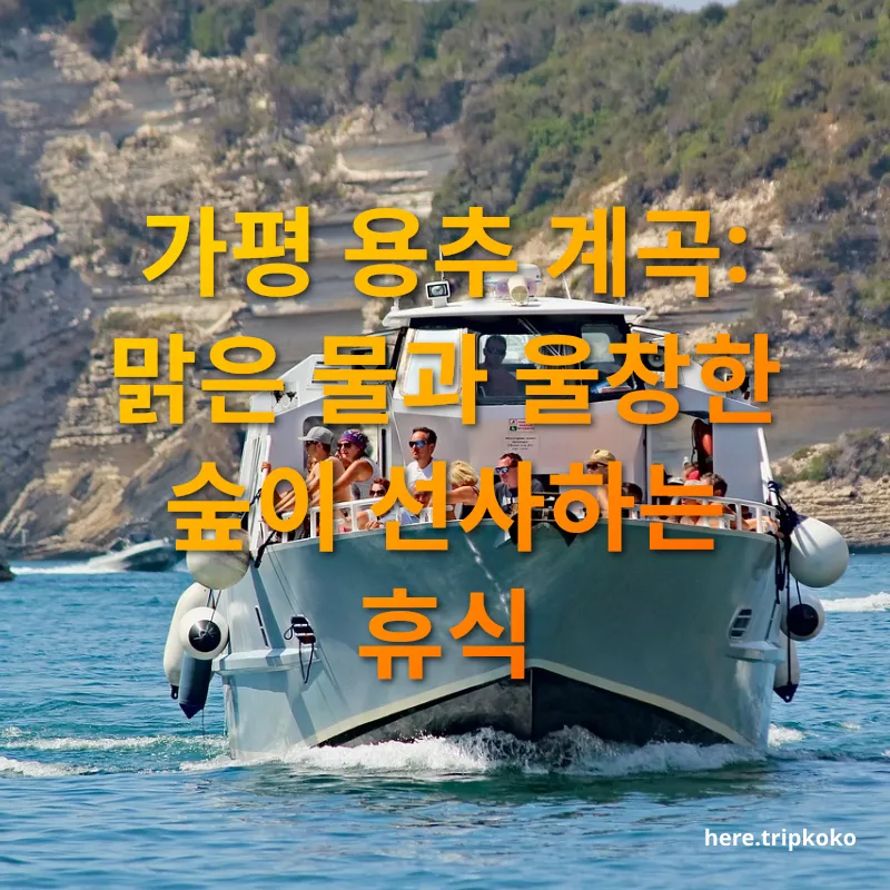 계곡 나들이 - 천혜의 자연 속 힐링 여행지 계곡 나들이 천혜의 자연 속 힐링 여행지 관련 이미지