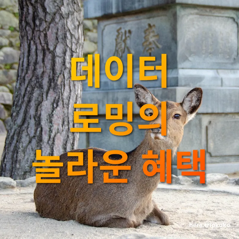 데이터로밍 언제 어디서나 연결된 여행 관련 이미지