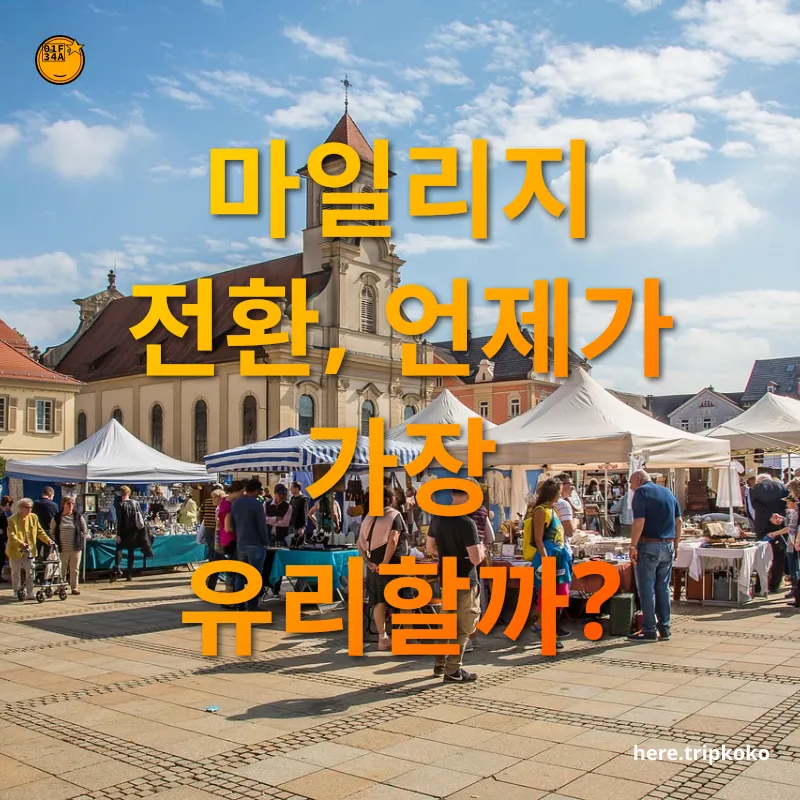 마일리지 활용 - 마일리지 종류에 따른 전략 마일리지 활용 마일리지 종류에 따른 전략 관련 이미지