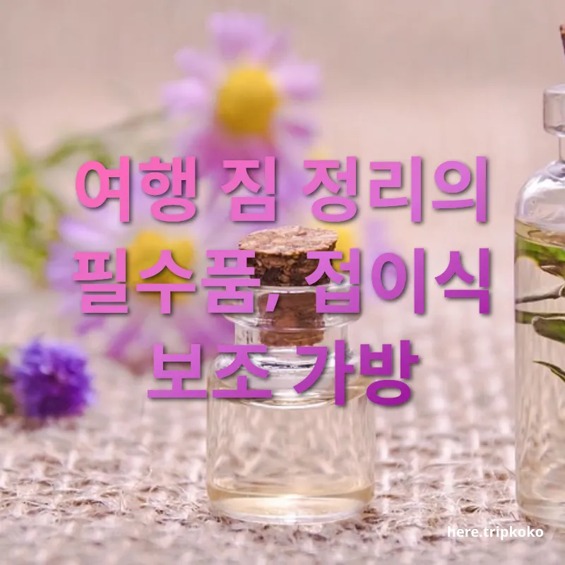 여름 나들이 준비 - 접이식 보조 가방이란? 여름 나들이 준비 접이식 보조 가방이란? 관련 이미지