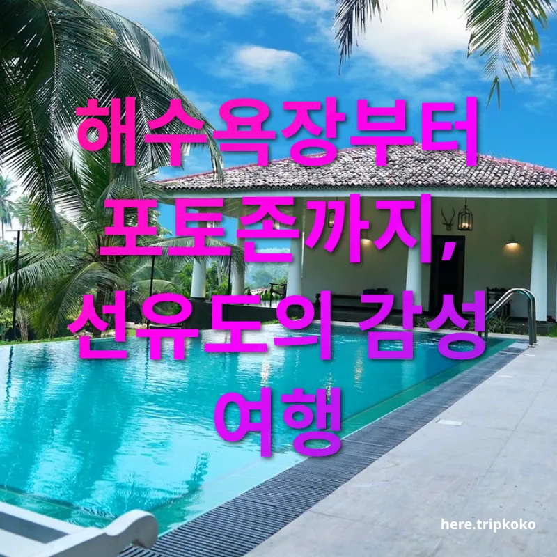 섬 여행 - 푸른 바다와 넓은 백사장 섬 여행 푸른 바다와 넓은 백사장 관련 이미지