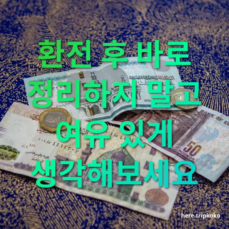 남은 외화 관리 - 환전 시 유의할 점 남은 외화 관리 환전 시 유의할 점 관련 이미지