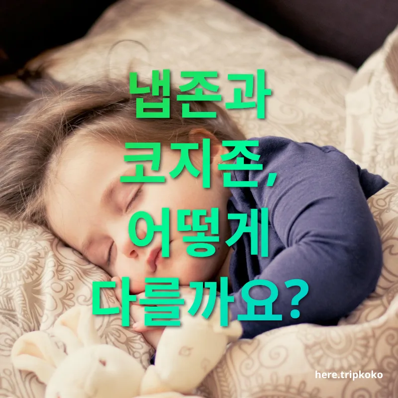 공항 수면실 냅존과 코지존, 어떻게 다를까요? 관련 이미지