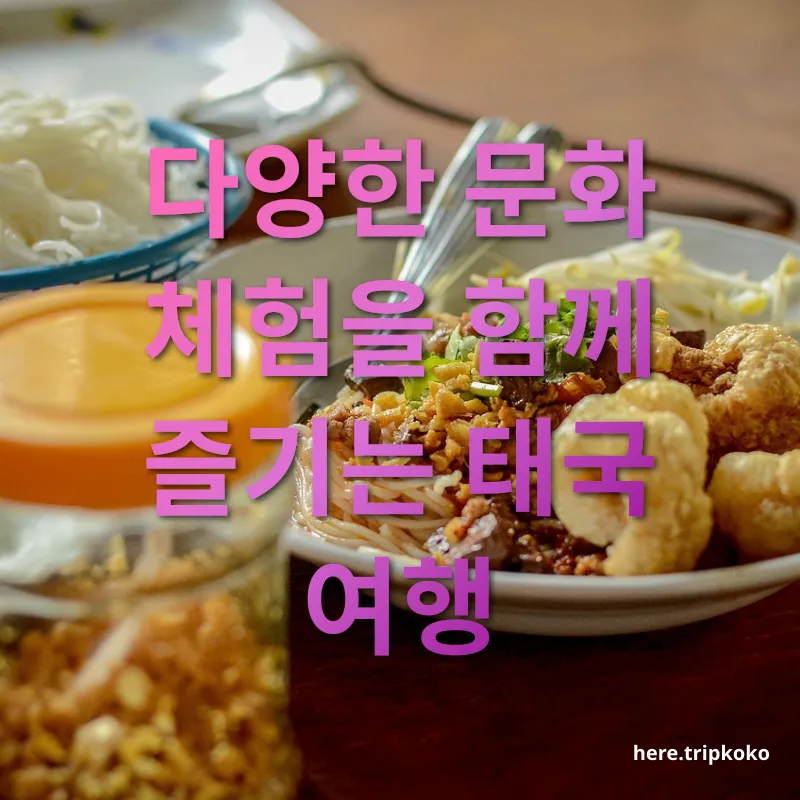 태국 요리 교실 - 다양한 문화 체험을 함께 즐기는 태국 여행 태국 요리 교실 다양한 문화 체험을 함께 즐기는 태국 여행 관련 이미지
