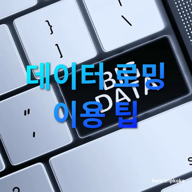 데이터로밍 데이터 로밍 이용 팁 관련 이미지