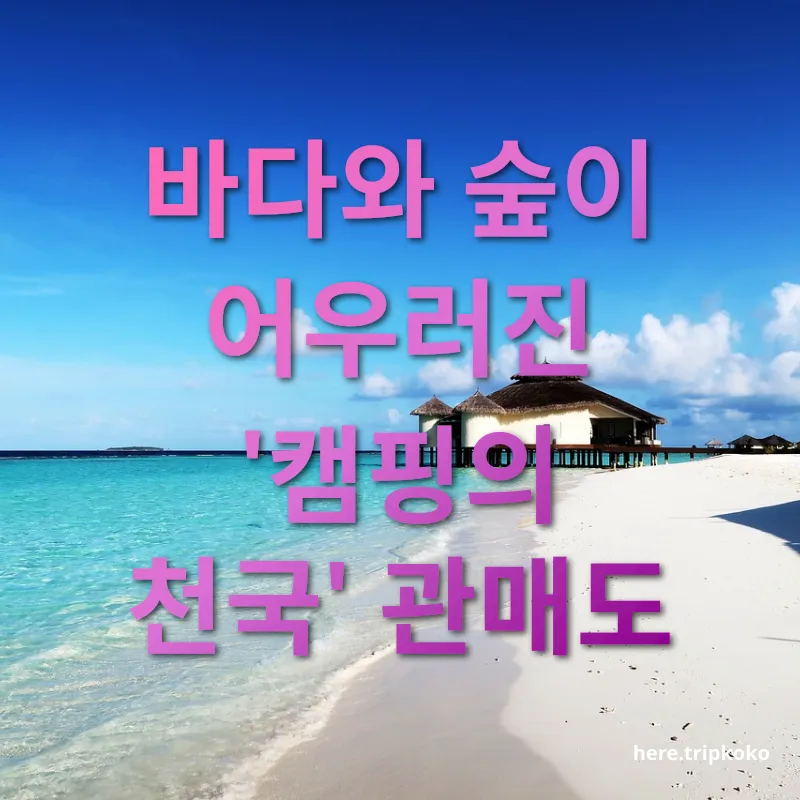 섬 여행 - 바다와 숲이 어우러진 '캠핑의 천국' 관매도 섬 여행 바다와 숲이 어우러진 '캠핑의 천국' 관매도 관련 이미지