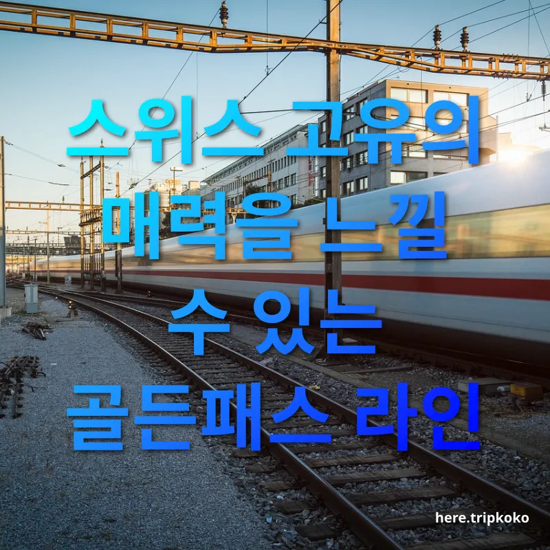 스위스 기차여행 스위스 고유의 매력을 느낄 수 있는 골든패스 라인 관련 이미지