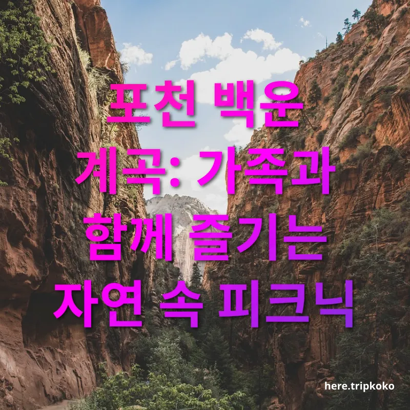 계곡 나들이 - 포천 백운 계곡: 가족과 함께 즐기는 자연 속 피크닉 계곡 나들이 포천 백운 계곡: 가족과 함께 즐기는 자연 속 피크닉 관련 이미지