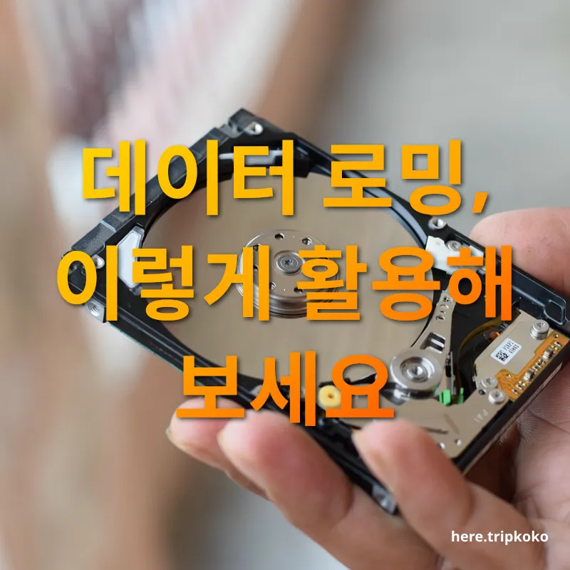 데이터로밍 데이터 로밍, 이렇게 활용해 보세요 관련 이미지