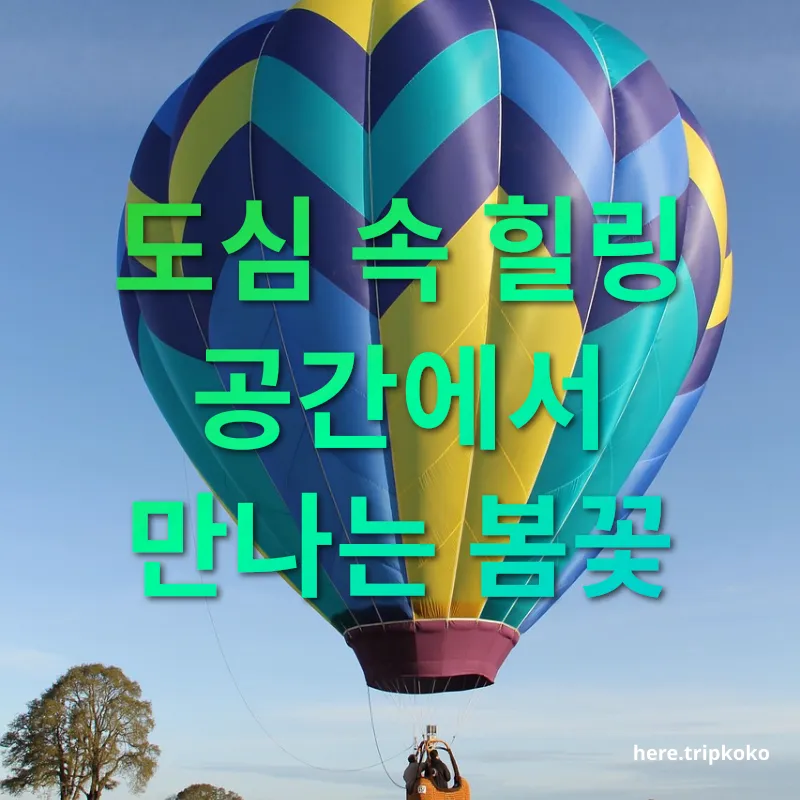 봄꽃 여행 도심 속 힐링 공간에서 만나는 봄꽃 관련 이미지