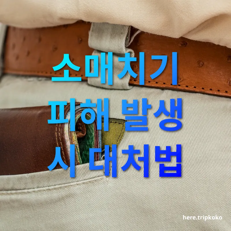 소매치기 예방 - 소매치기 피해 발생 시 대처법 소매치기 예방 소매치기 피해 발생 시 대처법 관련 이미지
