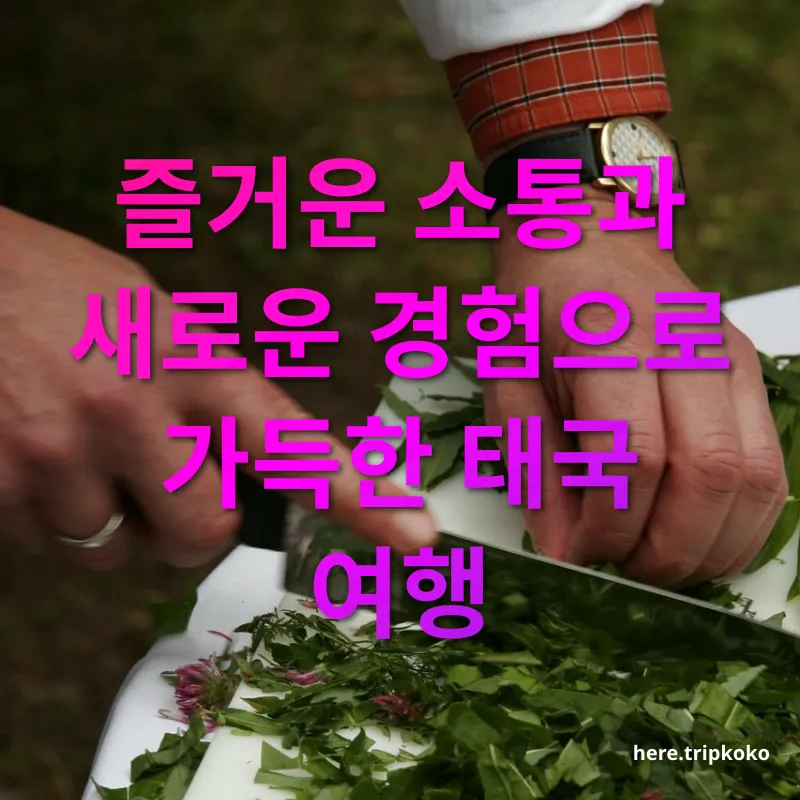 태국 요리 교실 - 즐거운 소통과 새로운 경험으로 가득한 태국 여행 태국 요리 교실 즐거운 소통과 새로운 경험으로 가득한 태국 여행 관련 이미지