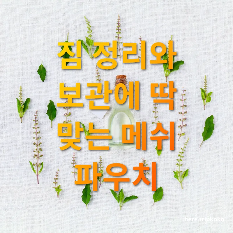 여름 나들이 준비 - 짐 정리와 보관에 딱 맞는 메쉬 파우치 여름 나들이 준비 짐 정리와 보관에 딱 맞는 메쉬 파우치 관련 이미지