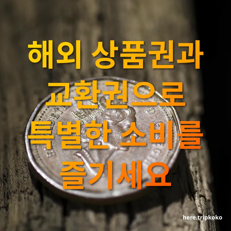 남은 외화 관리 - 해외 상품권과 교환권으로 특별한 소비를 즐기세요 남은 외화 관리 해외 상품권과 교환권으로 특별한 소비를 즐기세요 관련 이미지
