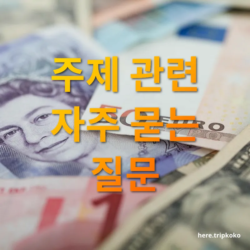 남은 외화 관리 - 주제 관련 자주 묻는 질문 남은 외화 관리 주제 관련 자주 묻는 질문 관련 이미지