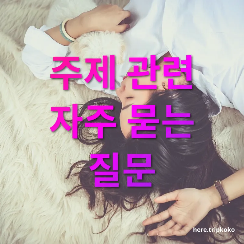 공항 수면실 주제 관련 자주 묻는 질문 관련 이미지