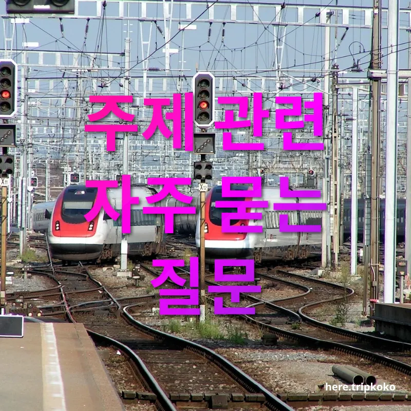 스위스 기차여행 주제 관련 자주 묻는 질문 관련 이미지