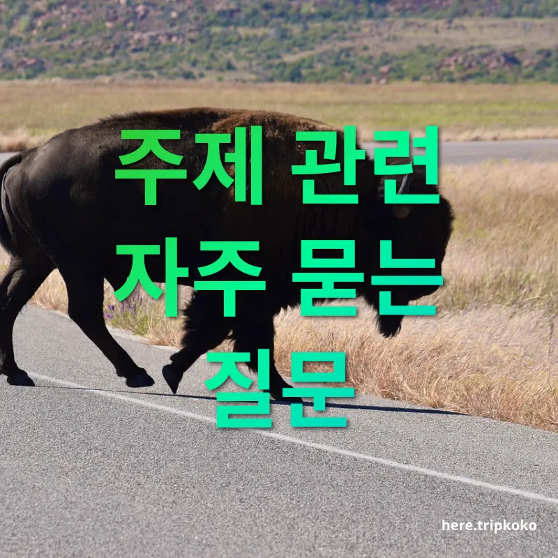 데이터로밍 주제 관련 자주 묻는 질문 관련 이미지