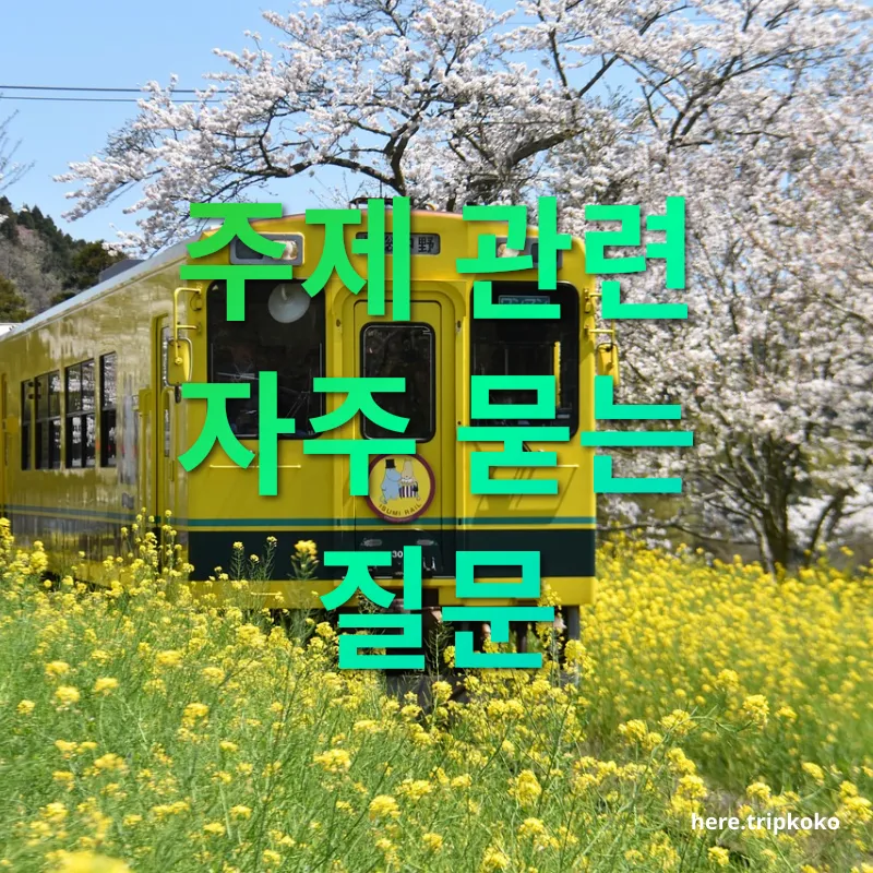 봄꽃 여행 주제 관련 자주 묻는 질문 관련 이미지