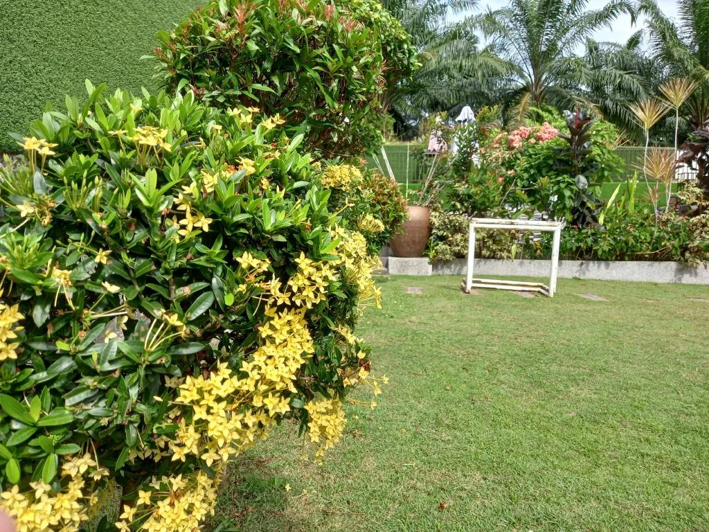 Vacation Home @ Villa 969 호텔 상세 정보 및 리뷰 Garden