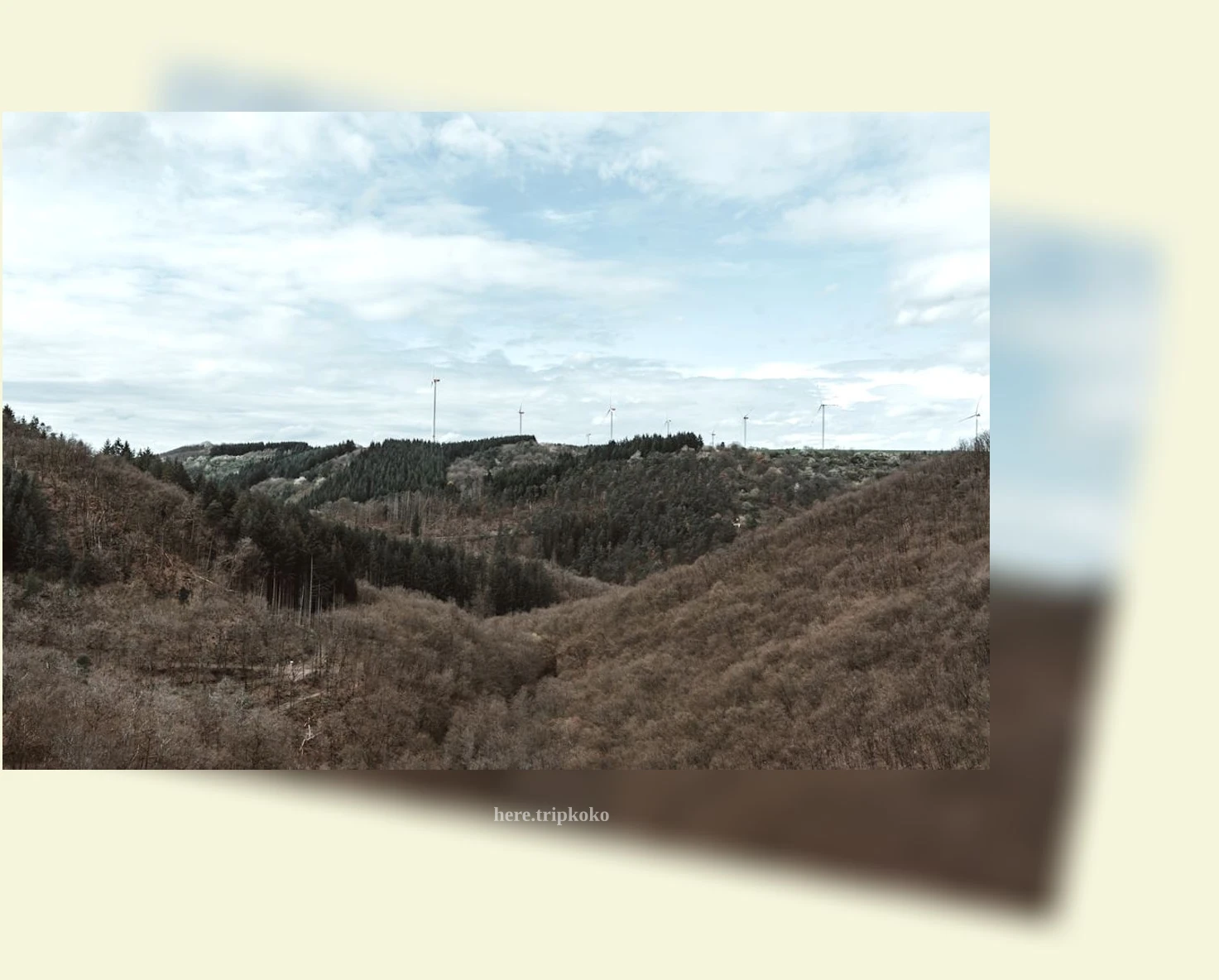 계곡 나들이 - 포천 백운 계곡: 가족과 함께 즐기는 자연 속 피크닉 상세 정보 계곡 나들이 포천 백운 계곡: 가족과 함께 즐기는 자연 속 피크닉 상세 설명 이미지